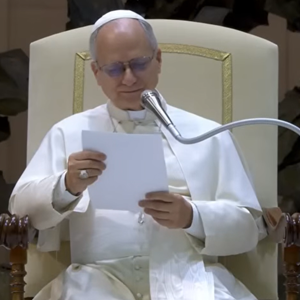 Papina kateheza na općoj audijenciji u srijedu 21. siječnja